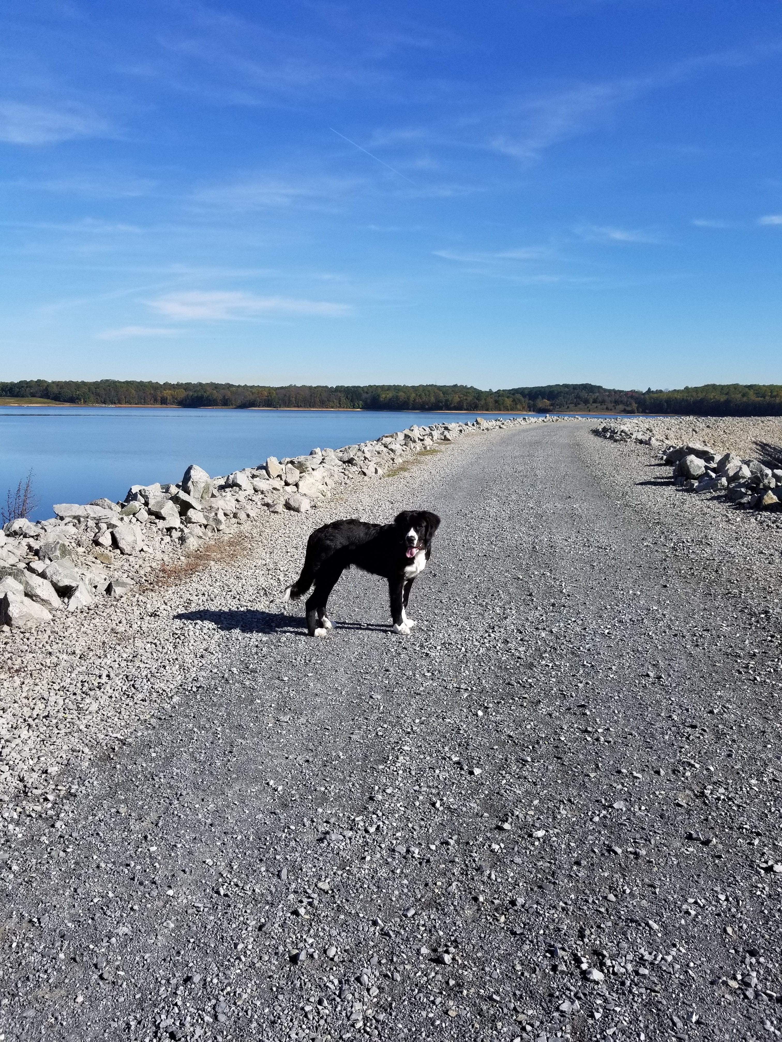 Merrill Creek Dam 1 – imperfectphil